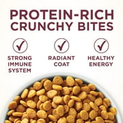 Purina ONE Plus, Urinary Tract Health Formula Dry Cat Food, Chicken, 22 lb Bag