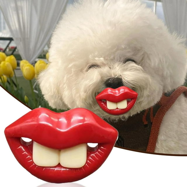 Jouets pour Animaux Accessoires pour Animaux - Jouet de Dentition pour Chiens - Jouet à Mâcher en Silicone avec Lèvres Rouges - Soin Buccal Apaisant pour l'Entraînement Intérieur Extérieur