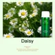 thumbnail image 3 of Difusor de aroma Namste de 100 ml, aceite esencial, aceite aromático para el hogar, perfumes para el hogar, máquina de aromaterapia para hoteles, difusor de aceite esencial, 3 of 5