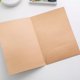 thumbnail image 4 of WEUVEB 10Ud Folder De Papel Kraft Presentación Con Bolsillo Único Para Almacenamiento Seguro En, 4 of 7