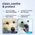 thumbnail image 2 of Petpost Tear Stain Remover Wipes - 100 Pre-Soaked Cotton Pads - Gentle Eye Crust Cleanser for White Fur Dogs & Cats - Chemical & Bleach Free, 2 of 10