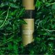 thumbnail image 2 of [Soy de] Esencia de artemisa 160 ml | Extracto 100% vegano, 2 of 9
