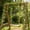 Green1908, variant on Artificial Green Vine Garland 5 Pack Hanging Plants Decor For Wall Ceiling Wedding Party Home Indoor Outdoor Decoration Flexible Leaf String Decoration Set