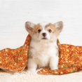 thumbnail image 4 of Yiaed Orange Glitter Print Dog Blankets-Cat Blanket Washable for Couch Protection,Puppy Blanket, Soft Plush Reversible Throw Furniture Protector-Medium, 4 of 8