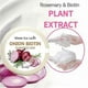thumbnail image 3 of Onion and Biotin Shampoo Bar Soap, Moisturizing & Soothing, For All Hair Types, 3 of 5