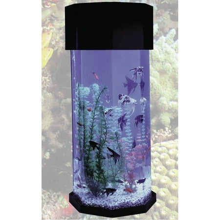 Octagonal Shape Acrylic Aquarium (Best Fish For New Tropical Aquarium)