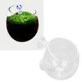 thumbnail image 1 of Support de Plante d'Aquarium, Ventouses Fortes Design Respirant Trou Beau Réservoir de Poissons Tasse en Verre Inclinée pour Eau Salée, 1 of 7