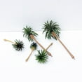 thumbnail image 1 of 10Pcs Mini Artificial Coconut Palm Trees Model DIY Landscape Layout Accessory, 1 of 10