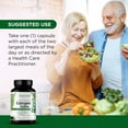 Emerald Labs Estrogen Detox for Men and Women Estrogen Blocker with