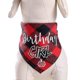 thumbnail image 4 of Dog Triangular Collar Fashion Bib Pet Letter Printed Bandana Birthday Scarf Q, 4 of 5