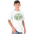 thumbnail image 3 of Saint Patricks Day Ireland Flag Party Crewneck T Shirts Boy Girl Teen Brisco Brands XS, 3 of 5
