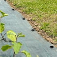 thumbnail image 4 of Hongchun Plastic Garden Stakes Anchors Plastic Landscape Anchor Spikes, 4 of 5