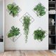 thumbnail image 4 of 3D Green Plant Wall Sticker, Flower Mural Stickers, Green Plant Mural Sticker, Green Hanger Vine Sticker Mural Sticker, 4 of 5