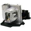Optoma - Projector lamp - for Optoma DX733