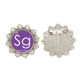 thumbnail image 1 of Quimica elementos periodo cuadro metales de transición Seaborgio SG Broche de plata Unbranded M, 1 of 3