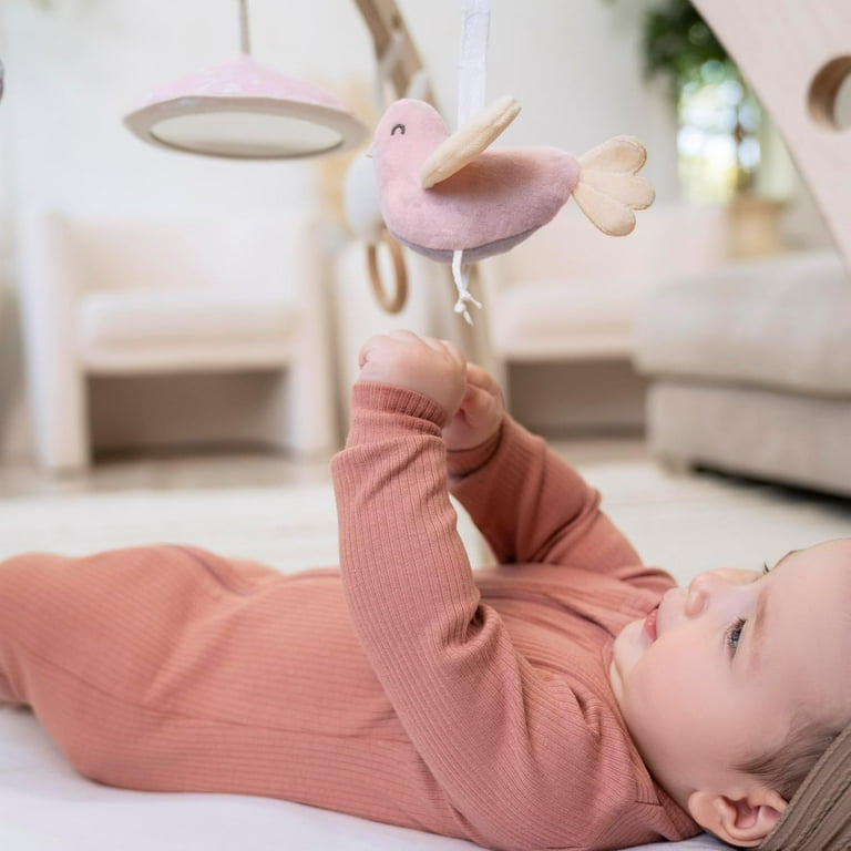 【新品未開封】aden + anais モンフルール ベビージム aden + anais Baby Activity Gym, Ma Fleur floral print, 100% Cotton