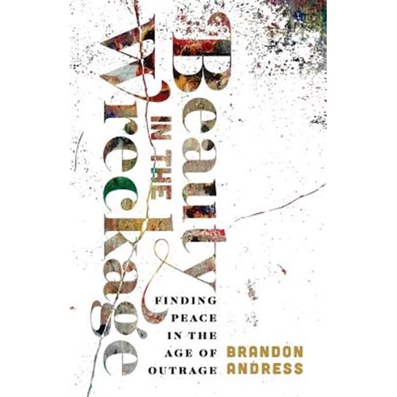 Pre-Owned Beauty in the Wreckage: Finding Peace in the Age of Outrage Paperback