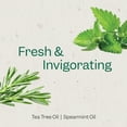 thumbnail image 3 of Renpure Tea Tree & Mint Body Wash - Cleanses, Invigorates & Refreshes Skin Without Over-Drying - For All Skin Types  - 24 Fl Oz, 3 of 7