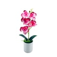 thumbnail image 2 of Deep Pink Artificial Phalaenopsis Orchid Potted Plant, 5 Flower Decor, By Meiiso, Large Inventory!, 2 of 9