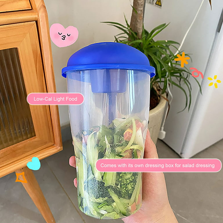 Fresh Salad to Go Container Set, Keep Fit Salad Meal Shaker Cup with Fork  and Salad Dressing Holder, Healthy Salad Container, Vegetable Breakfast to  Take Away Fruit and for Lunch, salad dressing