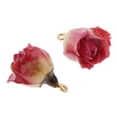 thumbnail image 1 of jifeng protoyszoom 2 Pcs Breloques Fleurs Réelles en Résine Pendentif Époxy pour, 1 of 9