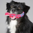 thumbnail image 3 of Lizard Shape Dog Chew Toy Squeaky Dog Toy Dog Chew Toy Puppy Chewer Puppy Supply, 3 of 4