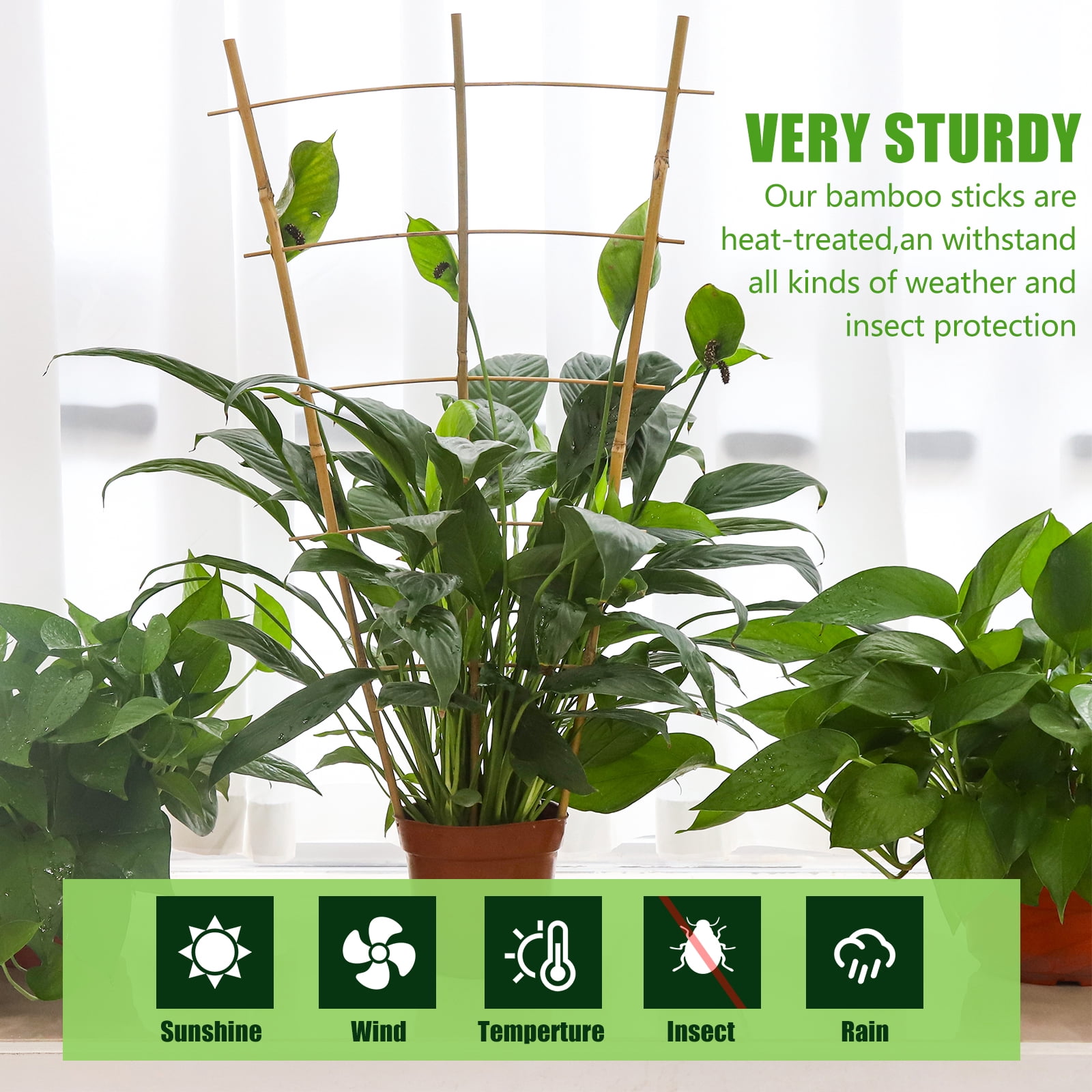 2ft Fan-Shaped Bamboo Trellis-Indoor Plant Support for Climbing Plants, Vegetables, and Potted Plants 3pcs
