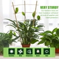 thumbnail image 5 of 2ft Fan-Shaped Bamboo Trellis-Indoor Plant Support for Climbing Plants, Vegetables, and Potted Plants 3pcs, 5 of 8