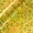 Gold Crystal, variant on Siser Holographic Heat Transfer Vinyl Rainbow 11.8" x 24" Roll