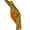 Orange, variant on Bendies LST Plant Training Clips 15 Pack - v2.0 Adjustable Low Stress Green Support Clips for Stem Bending, Grow Tent, Plant Ties & Gardening Accessories