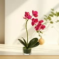 thumbnail image 4 of Glass Vase Artificial Orchid Bonsai - Phalaenopsis Flower Pot Arrangement For Home Table Centerpieces And Room Decor, 4 of 5