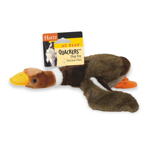 hartz duck dog toy