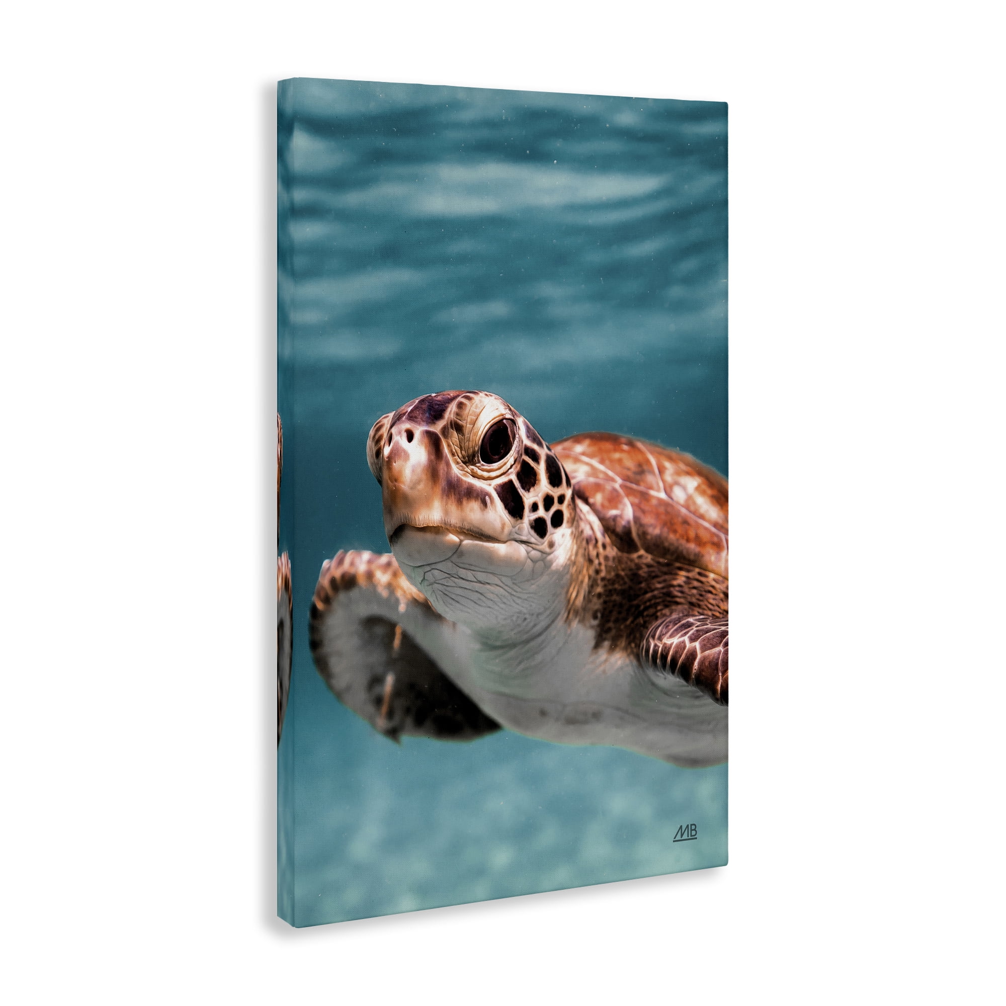 Stupell Industries Underwater Sea Turtle Swim Animals Photography Wrapped Canvas Art Print Wall Art, 24 x 36