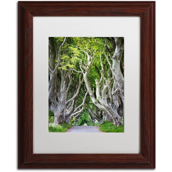 Trademark Fine Art "Down There" Canvas Art by Philippe Sainte-Laudy, White Matte, Wood Frame