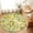Yellow, variant on Round Area Rugs 6Ft, Yellow Lemons Non-Slip Washable Circle Rugs Carpet, Summer Botanical Checkered Pastoral Indoor Outdoor Rug Floor Mats Throw Runner for Bedroom Living Room Bathroom