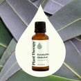 thumbnail image 2 of Plant Therapy Eucalyptus Globulus Essential Oil 30 mL (1 oz) for Diffuser, Skin, Hair, Aromatherapy DIYs, and Clear Breathing, 100% Pure, Undiluted, Natural Aromatherapy, 2 of 8