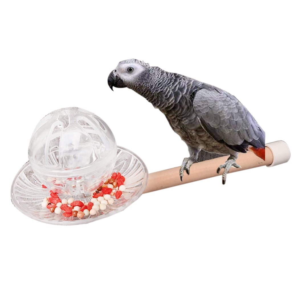Bird Feeder Training Ball Bird Foraging Toy Parrot Hanging Toy with