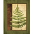 thumbnail image 2 of Delphine Corbin 26x32 Gallery Wrapped Canvas Wall Art Titled - Fern Grotto I, 2 of 4