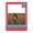Cardinal Red, variant on Deep Red Picture Frame Mat for 22x30 Frames - Fits 19x26 Photos - 10 Mats