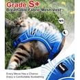Fresh Look at Cat Harness And Leash For Walking Escape Proof Soft Adjustable