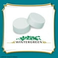 thumbnail image 3 of Altoids Spearmint Sugar Free Breath Mints, Single Pack - 1.76 oz, 3 of 10