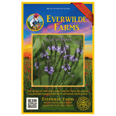 Everwilde Farms - 2000 Blue Vervain Native Wildflower Seeds - Gold Vault Jumbo Bulk Seed