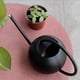 thumbnail image 1 of 1 L / 35  largo Regadera Plantas con flores Herramientas de de acero inoxidable Negro Sharpla regadera de caño largo, 1 of 7