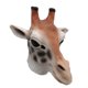 thumbnail image 1 of Máscara de látex de jirafa para Halloween, cosplay, disfraz de animal, 1 of 5