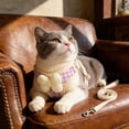 thumbnail image 6 of Plaid Breathable Pet Harness Set, Versatile Small Dog Harness For Small & Medium Cats And Dogs, 6 of 6