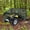 Camouflage, variant on HEAVY DUTY 420 DENIER CAMO COLOR WATERPROOF ATV COVER FITS UP TO 100" LENGTH SUPERIOR ATV COVERS 4-WHEELER 4X4, POLARIS, SUZUKI, YAMAHA, KAWASAKI, HONDA, ATV COVER RANCHER, FOREMAN, FOURTRAX, RECON