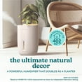 thumbnail image 2 of Homedics Nature Ultrasonic Warm & Cool Mist Humidifier - 60 hr Runtime, 2 of 10