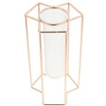 thumbnail image 1 of CRAFTHROU Florero Decorativo De Vidrio Transparente Con Base De Hierro Color Oro Rosado Para Plantas En Casa, 1 of 8