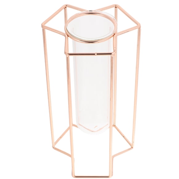 CRAFTHROU Florero Decorativo De Vidrio Transparente Con Base De Hierro Color Oro Rosado Para Plantas En Casa