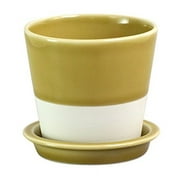 Hasami ware "essence" es table pot (flowerpot) yellow porcelain glaze 13685